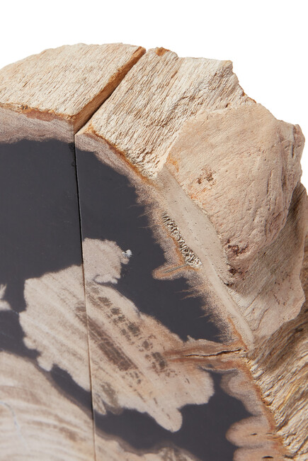 Petrified Wood Bookends